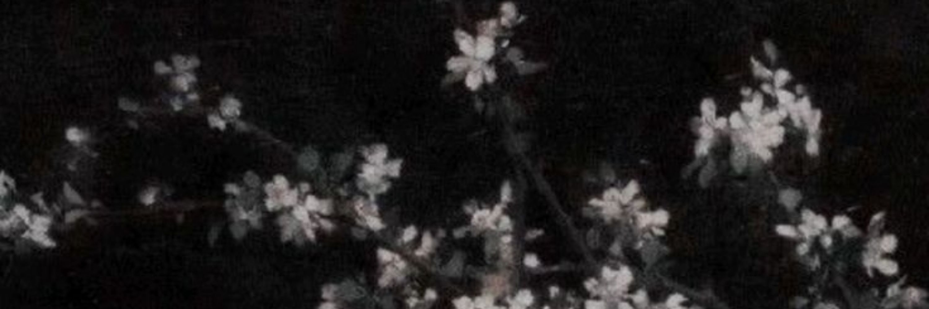 ლ