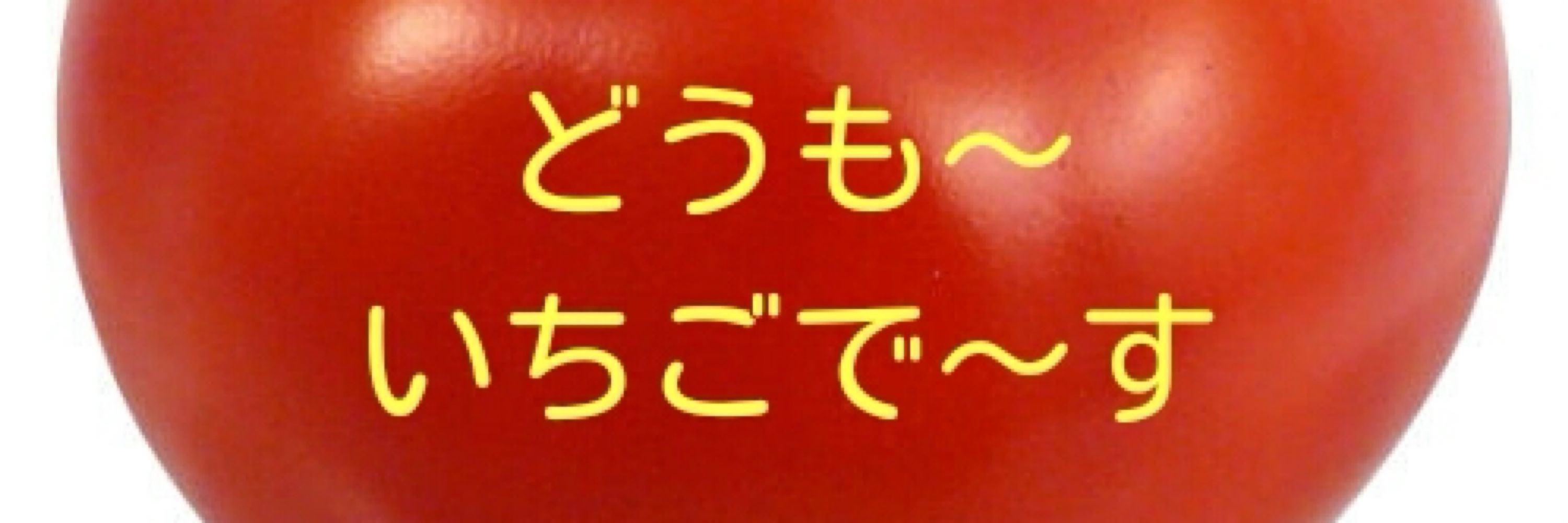 肉だんご腹巻き