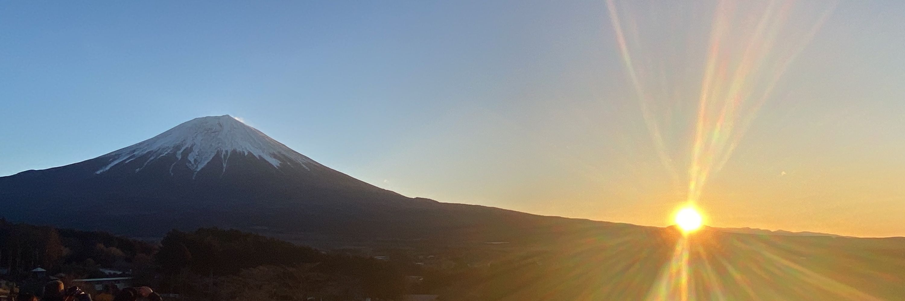 和田やん