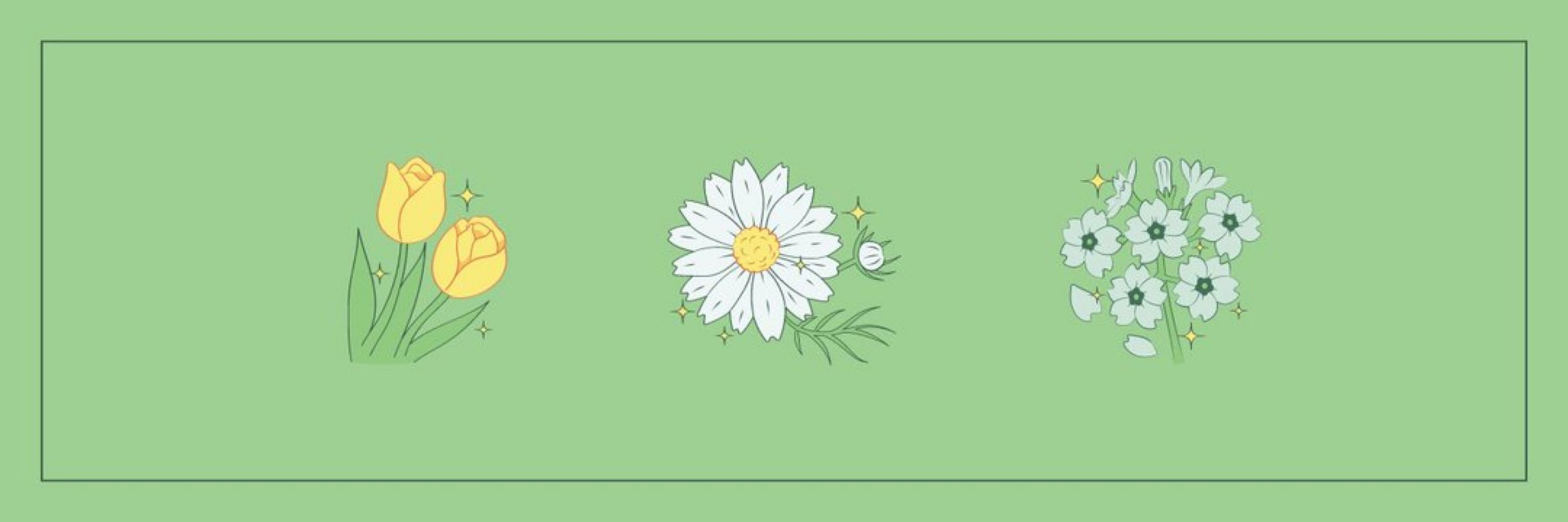 • ⁕ ❀ conker ❀ ⁕ •