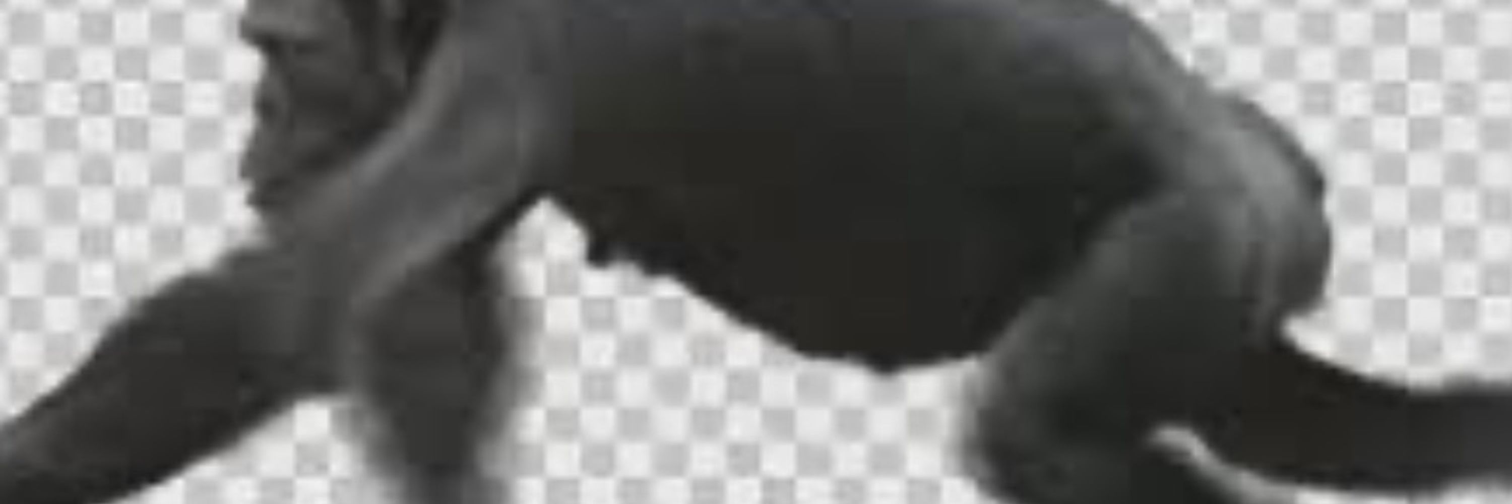 Gromb