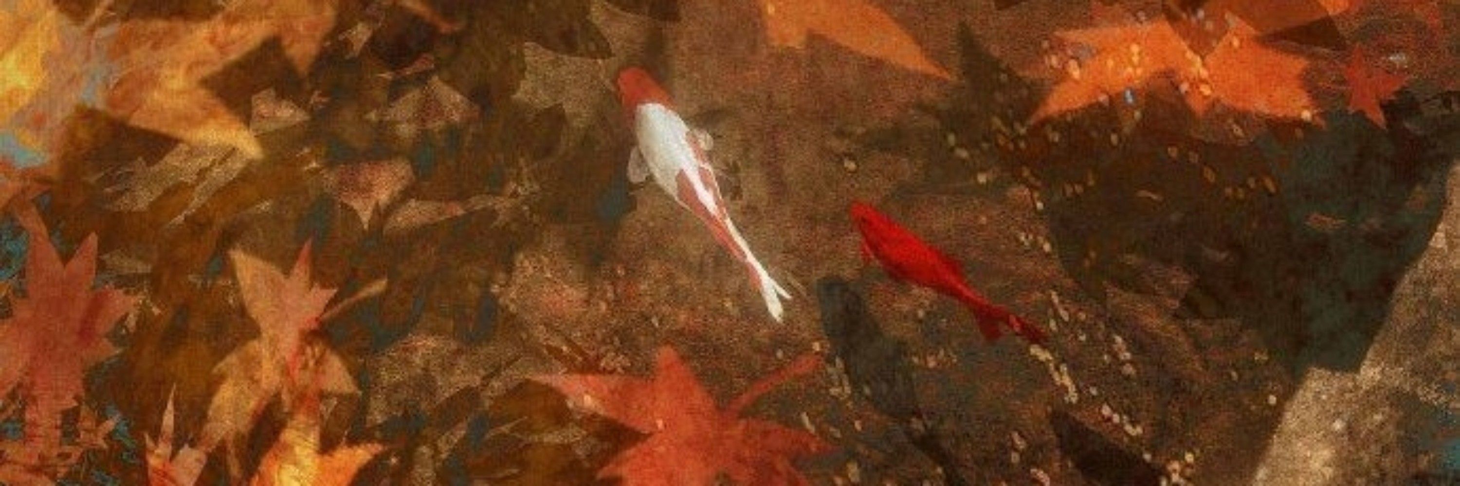 Kir