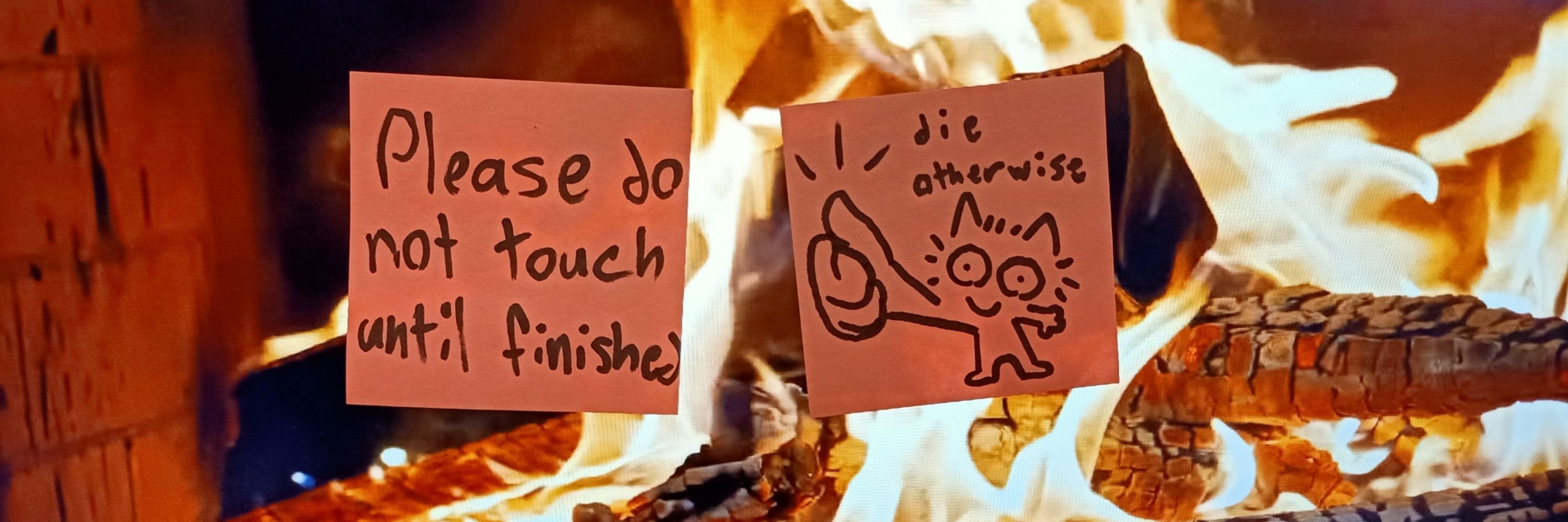 DEVILKIWI