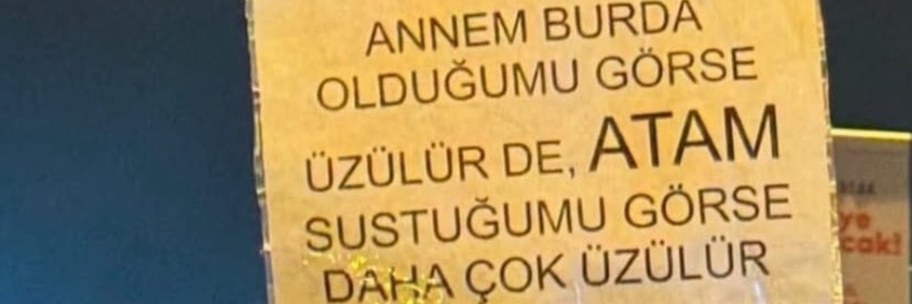 Kivi Özdağ🐺