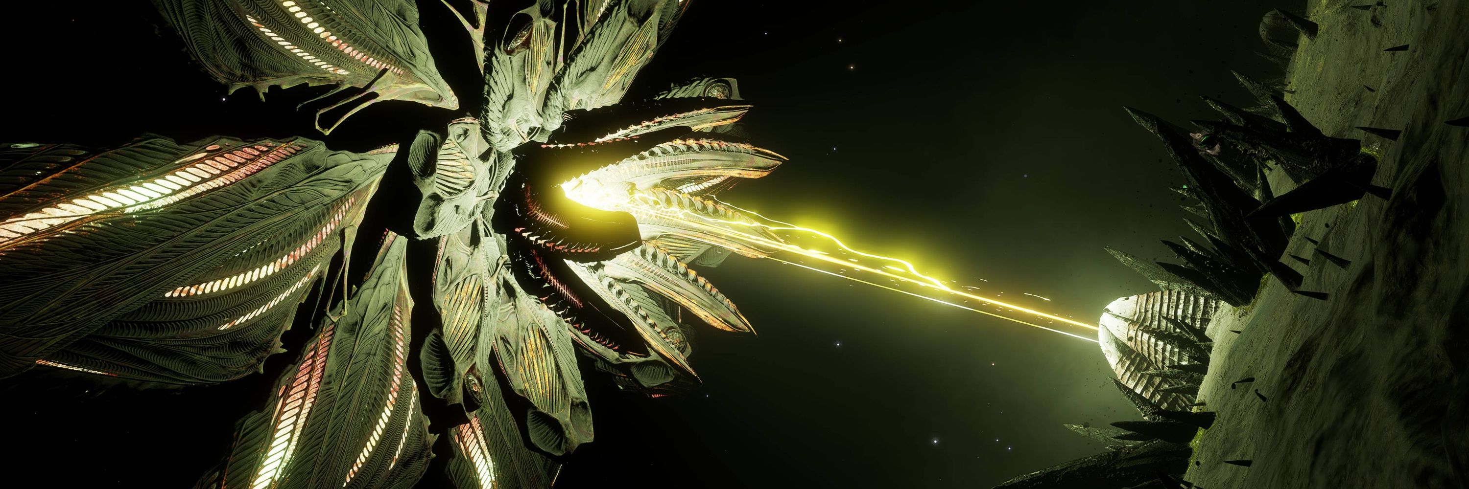 CMDR Camel Number 1