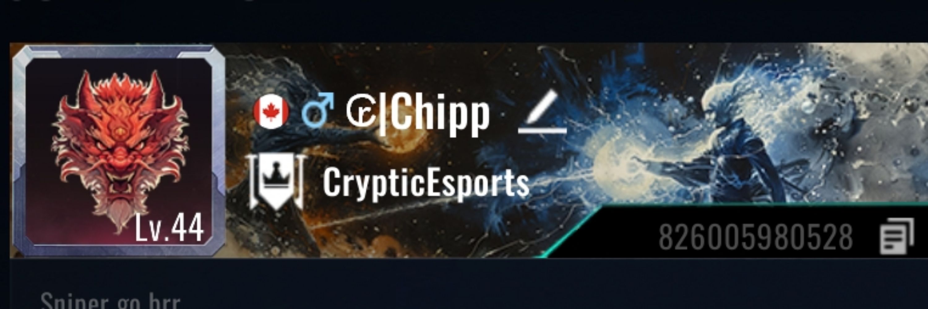 ₢|Chipp