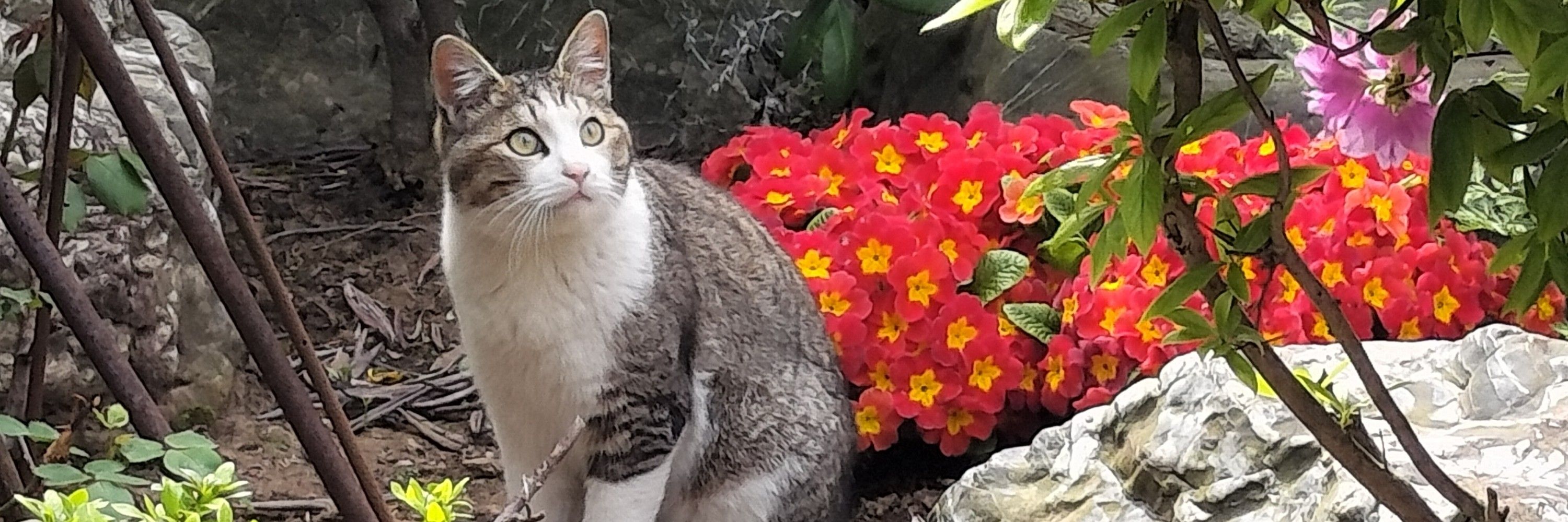 みり