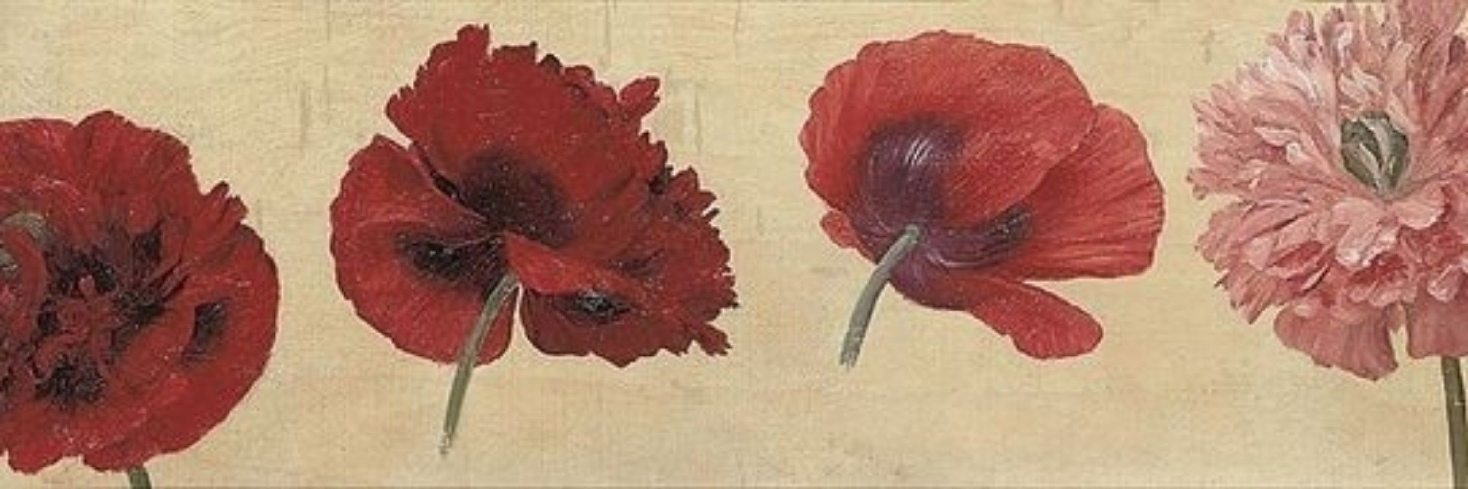 gita gogoya