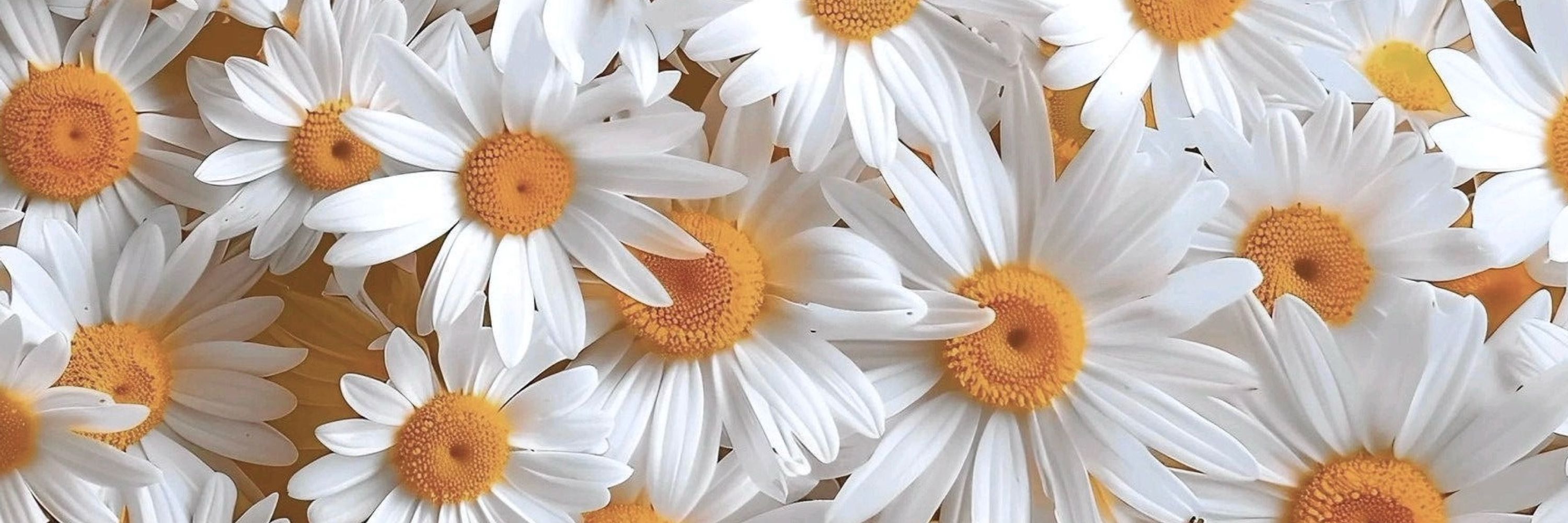 монодрама ✧⋆⁺₊