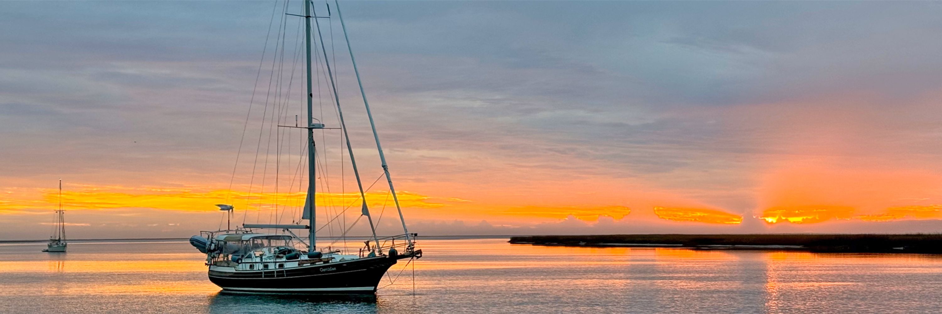 Gaviidae Sails