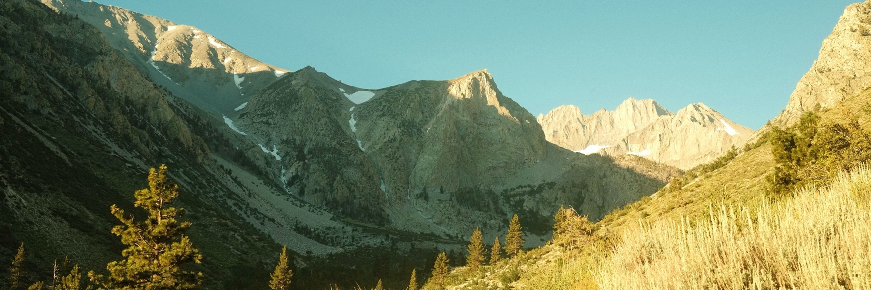 Tony ⛰️