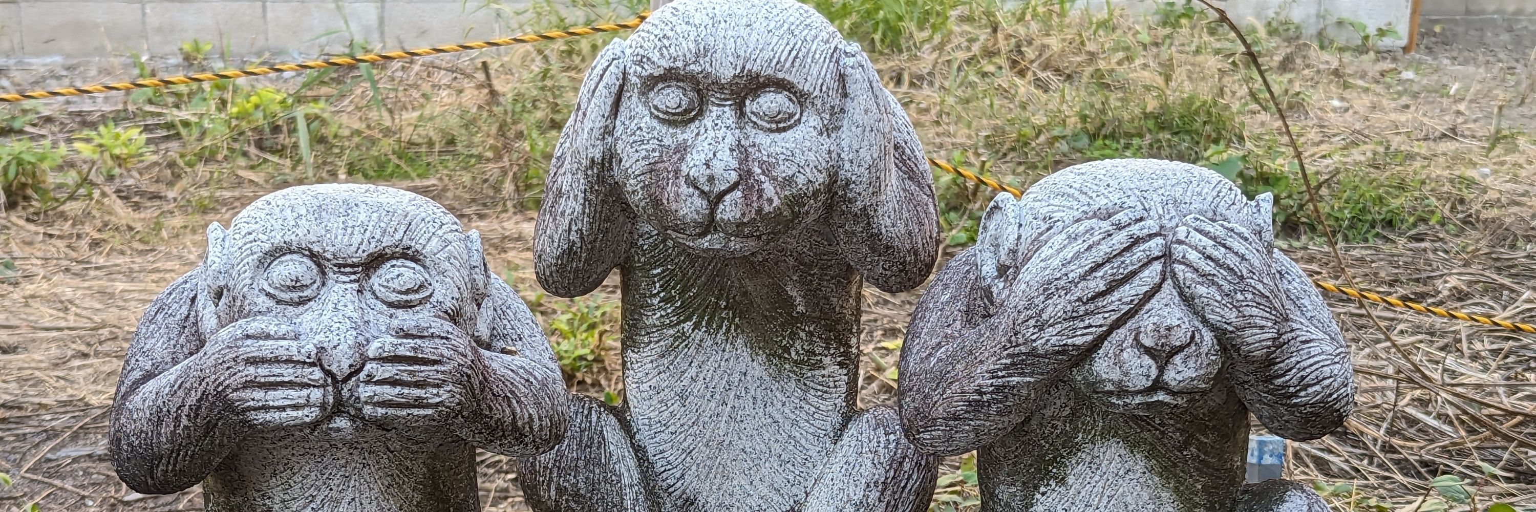 ヱイヒレ太郎