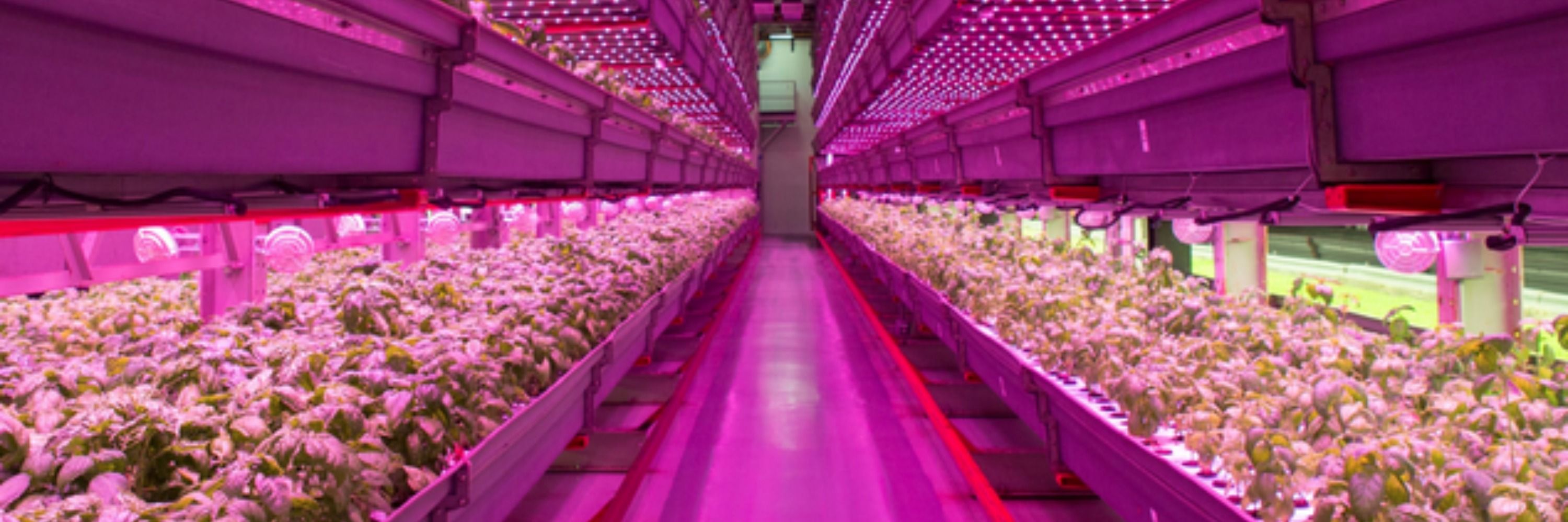 Farmbox