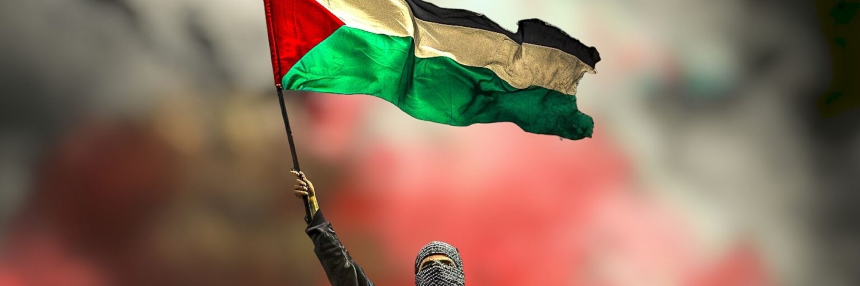 Dr.Hamza Alsharif 🇵🇸