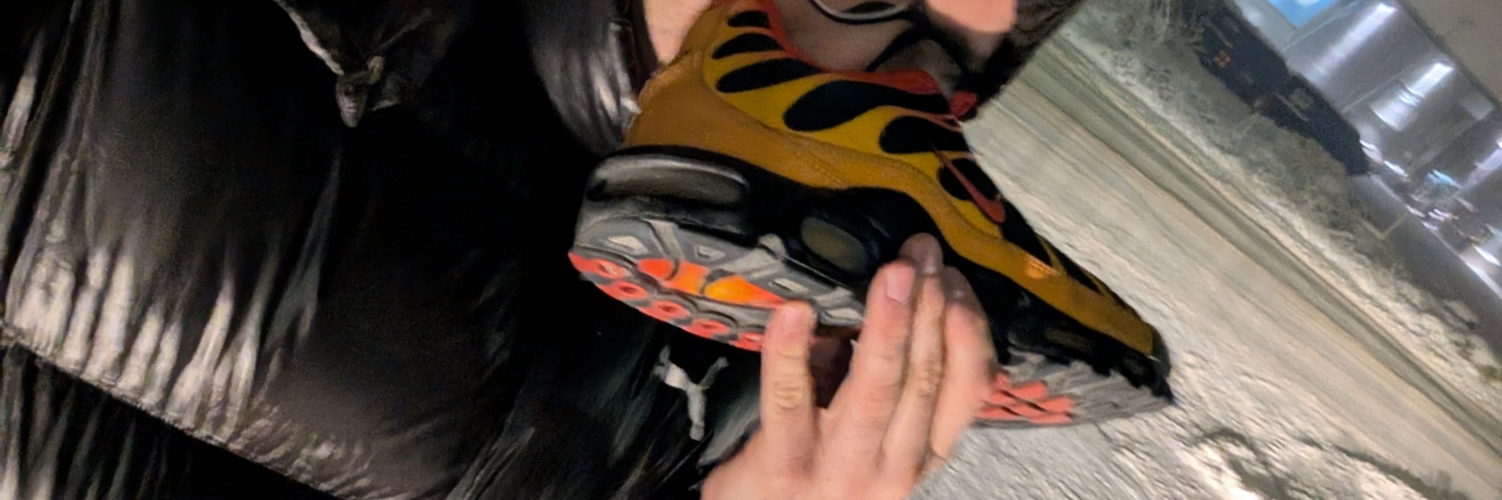 Silksneax