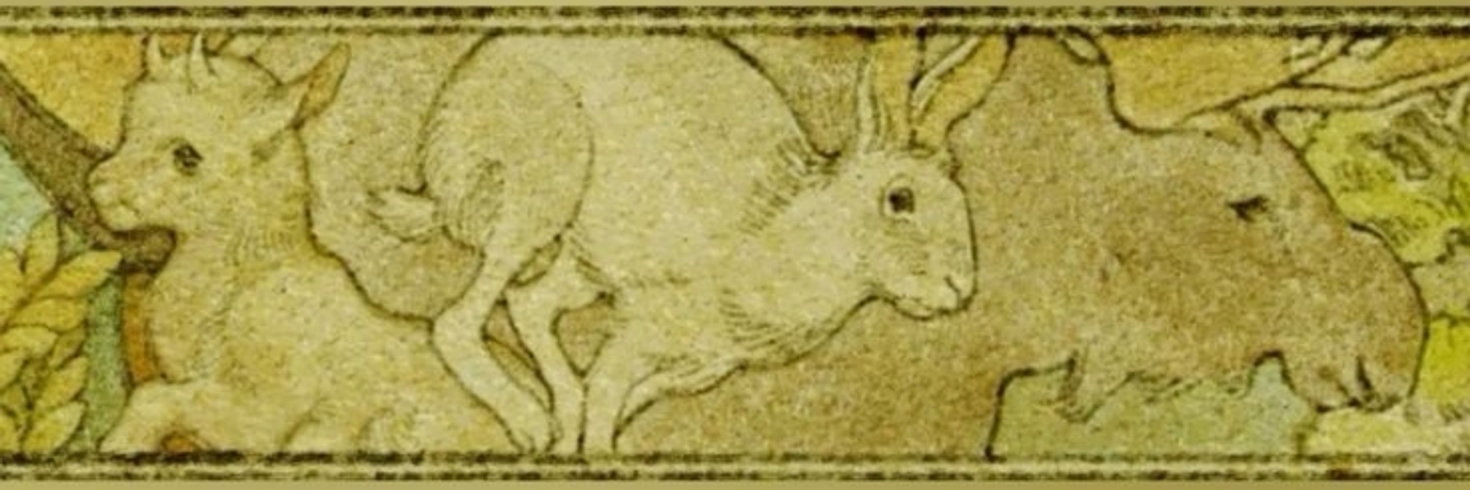 Bunny