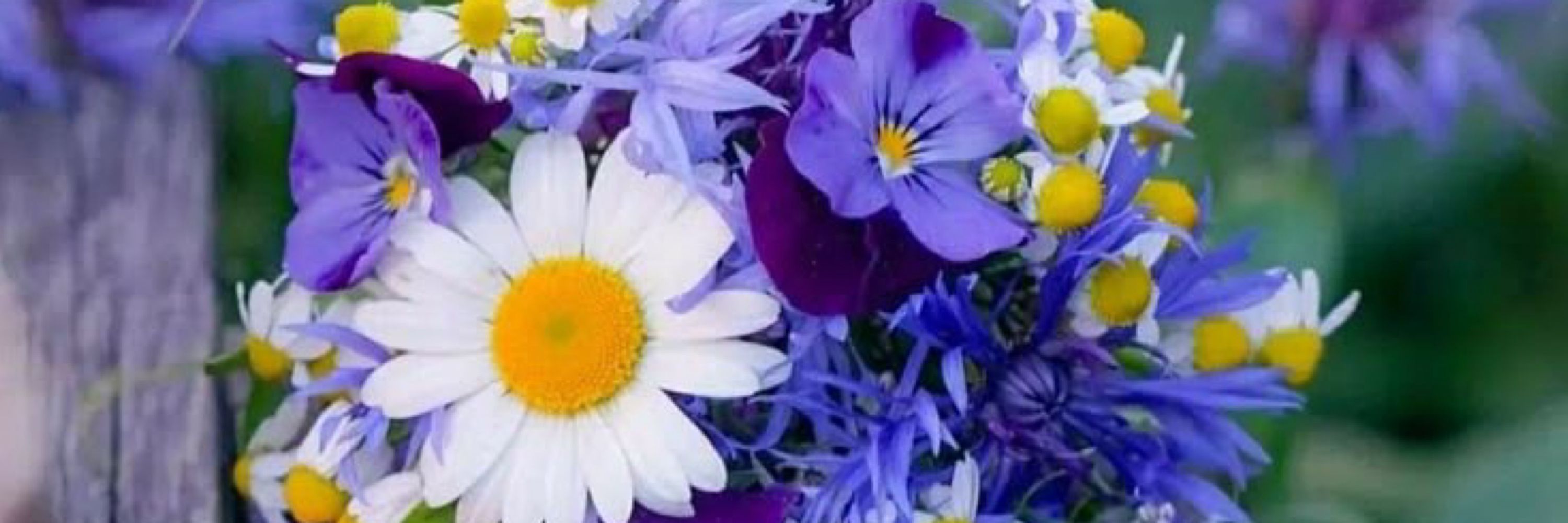 🌼