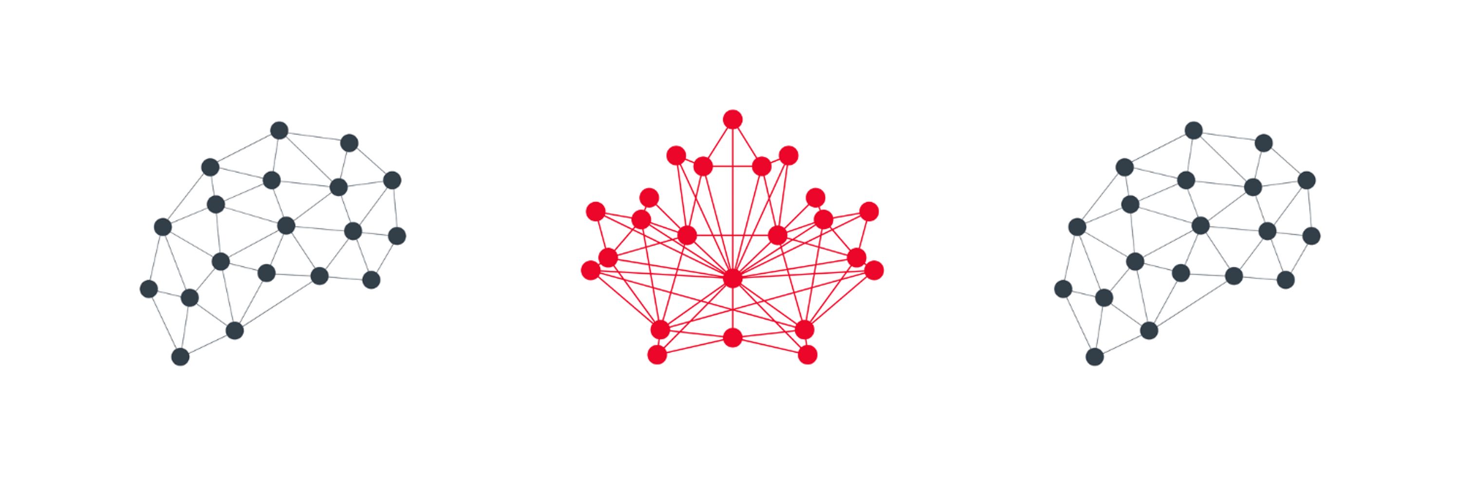 Canadian Concussion Network-Réseau Canadien des Commotions