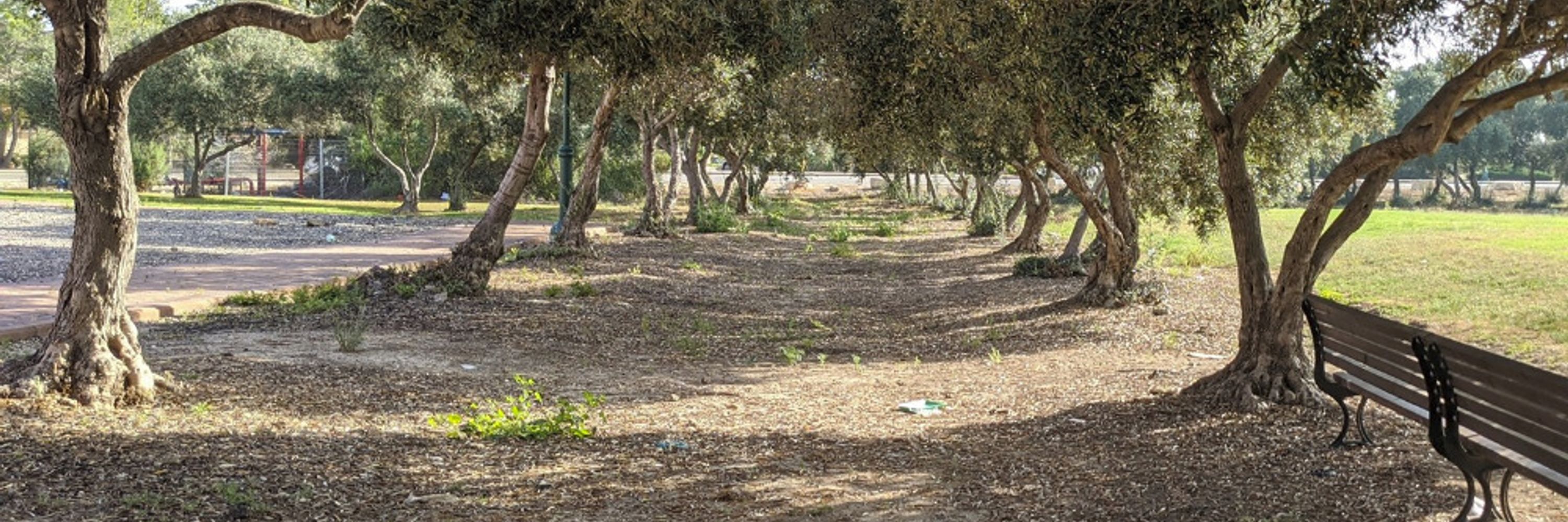 Uri אוּרִי