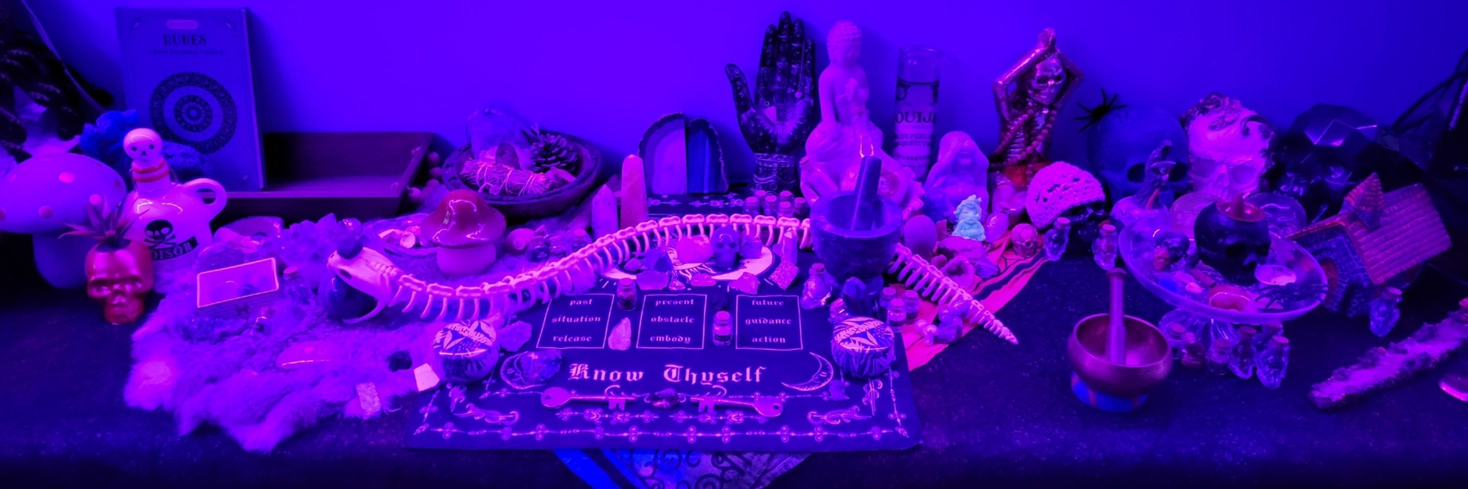 🗡Dionysus💜