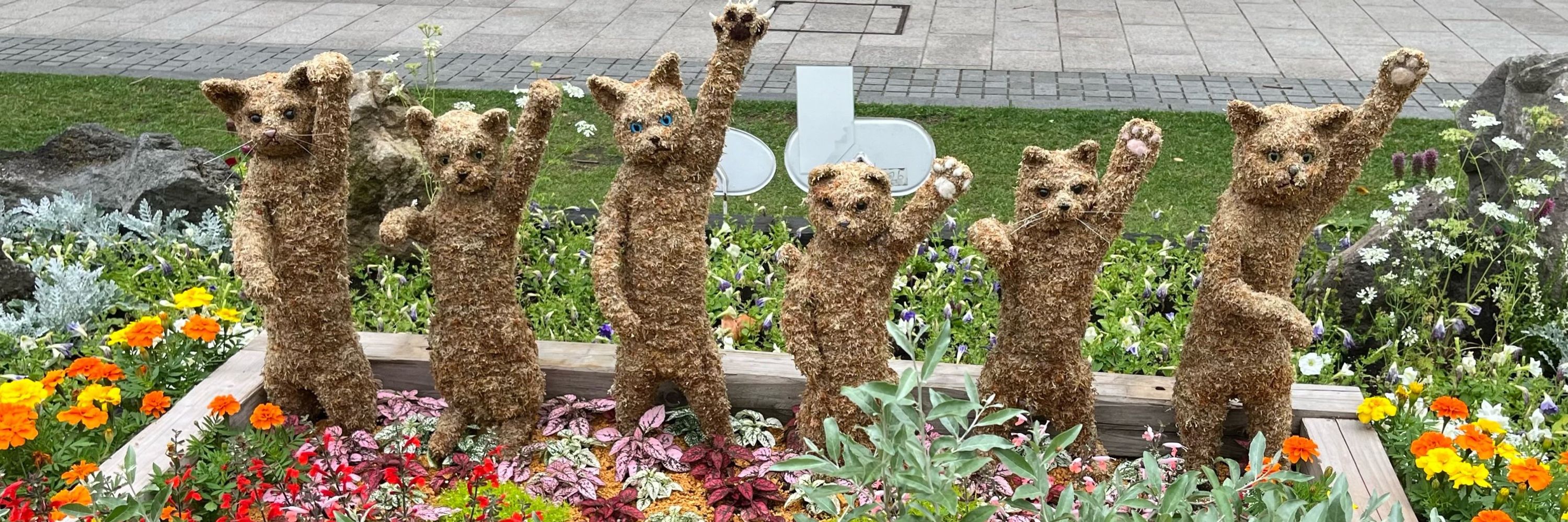 たらこ