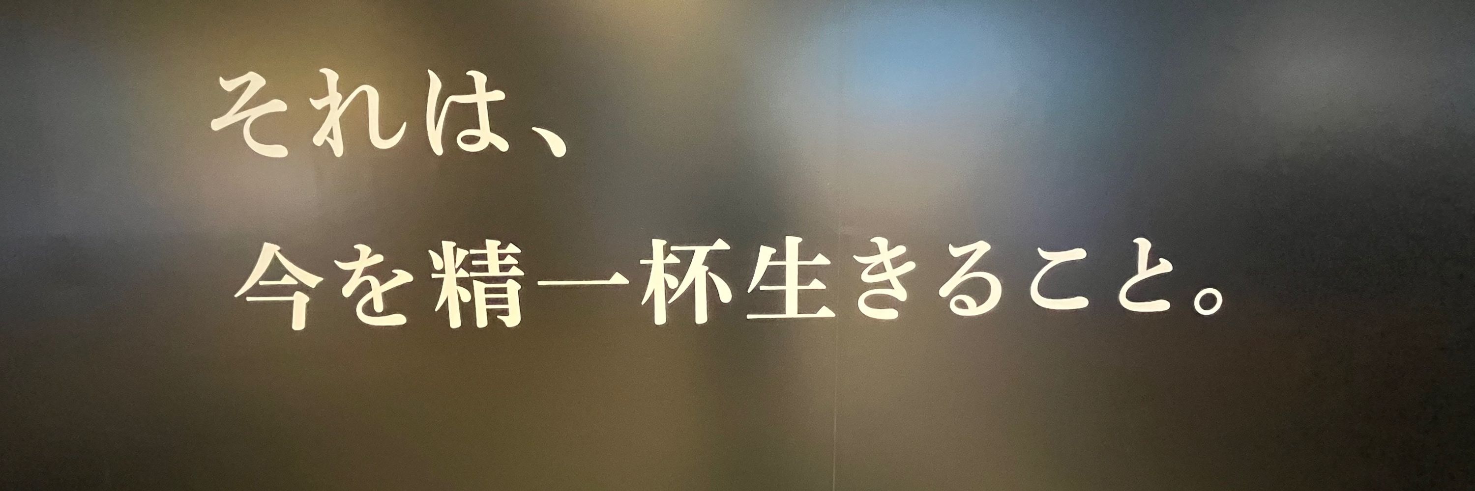 ひろき