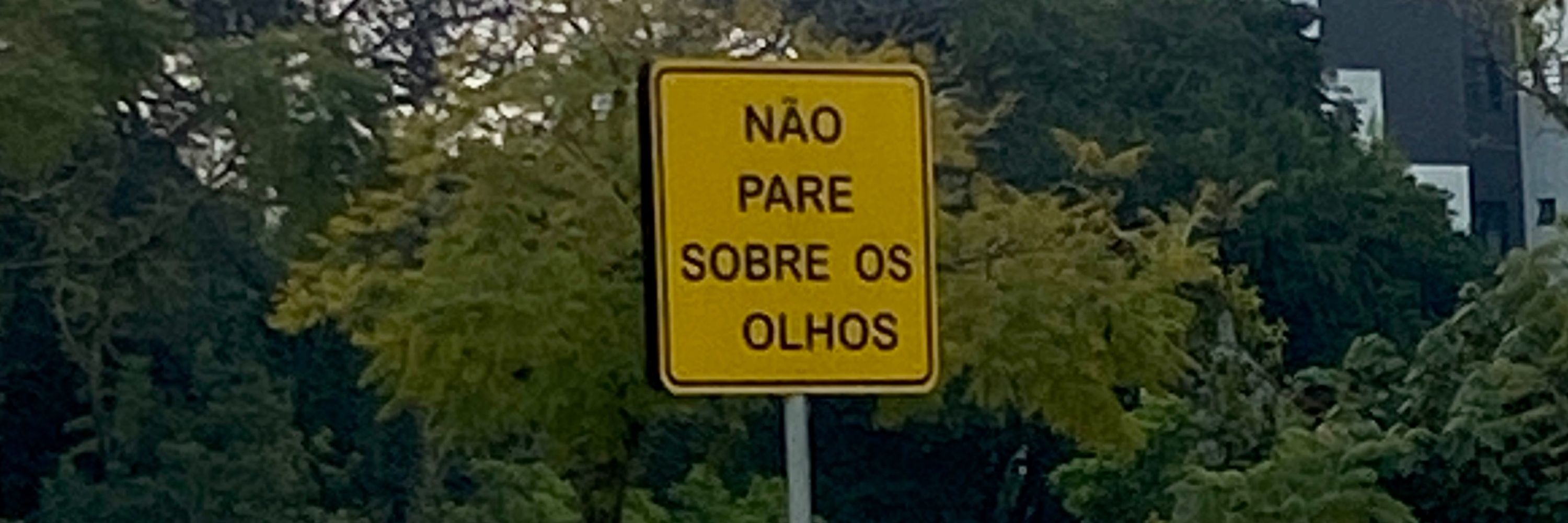 O Belo Adormecido 