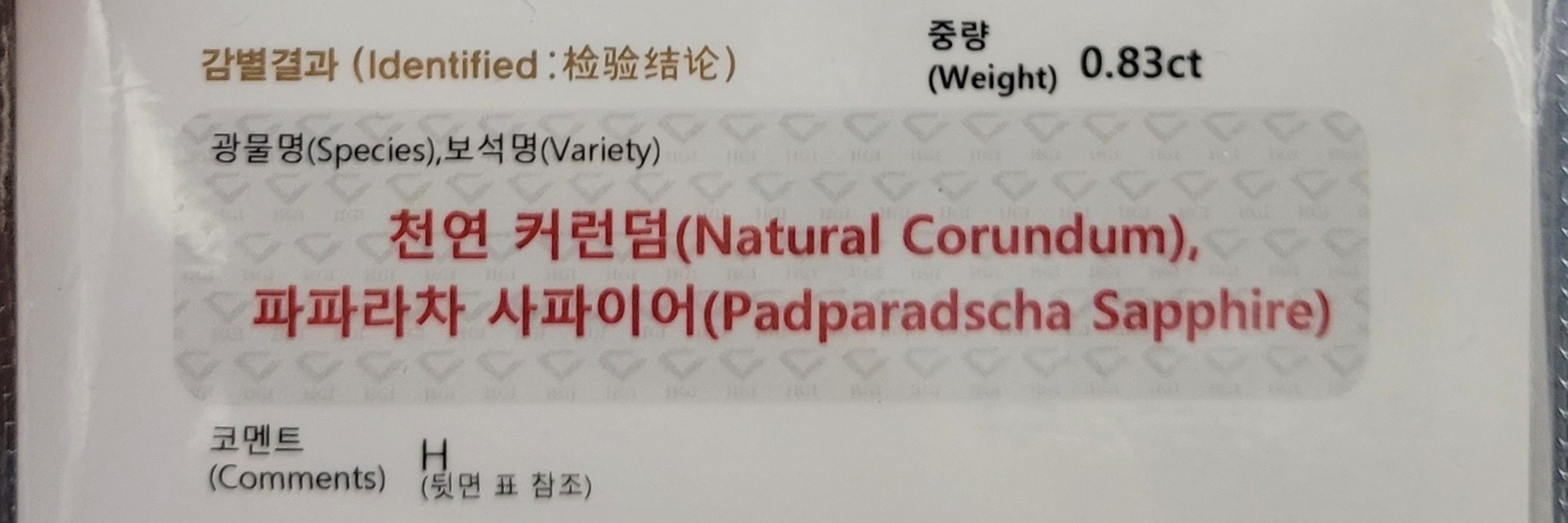 랏챠