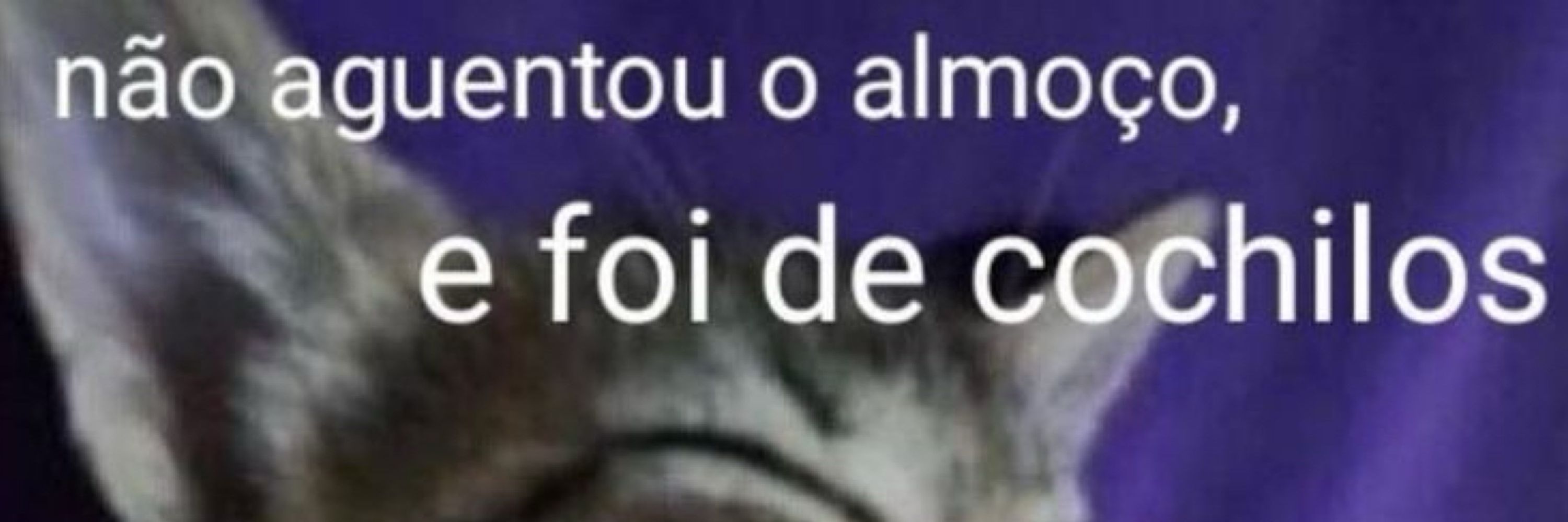 bruna