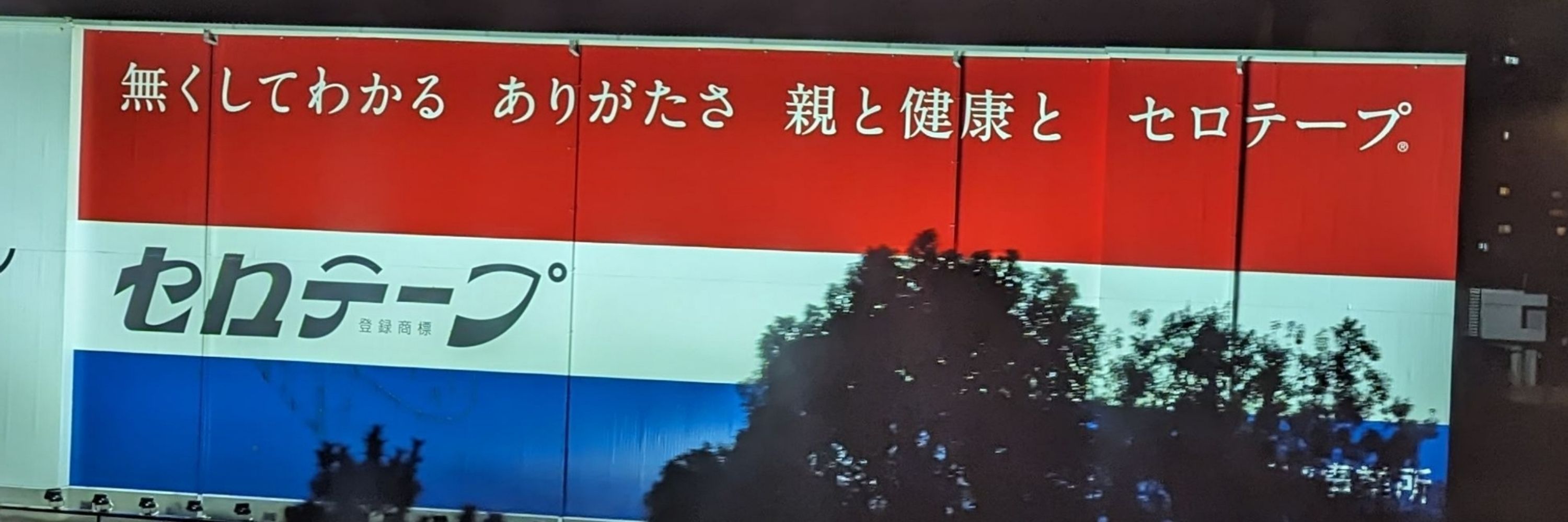 ぴらにあちゃん3さい