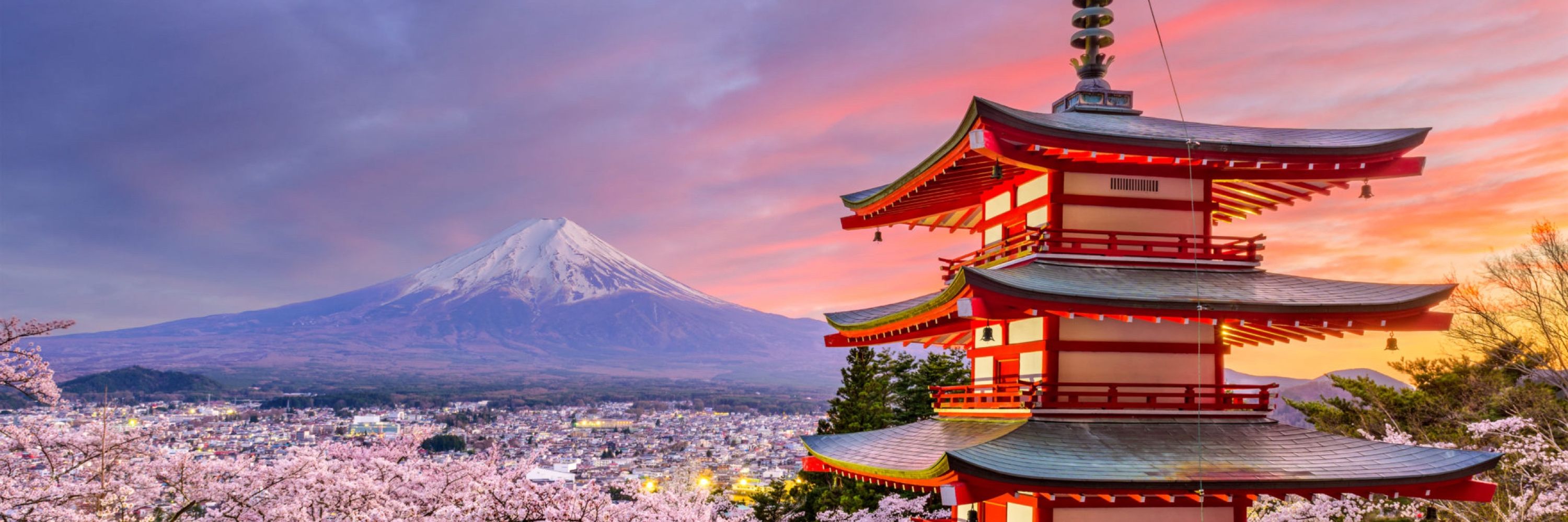 大崎ナナ 🪷