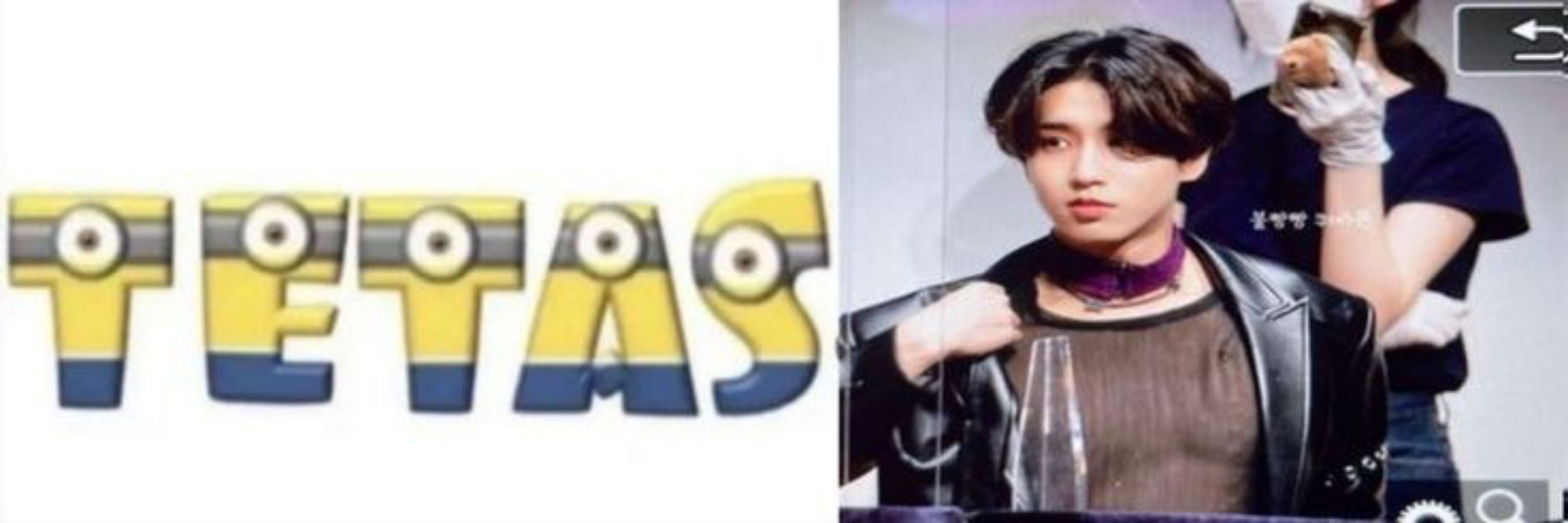 Pinguim