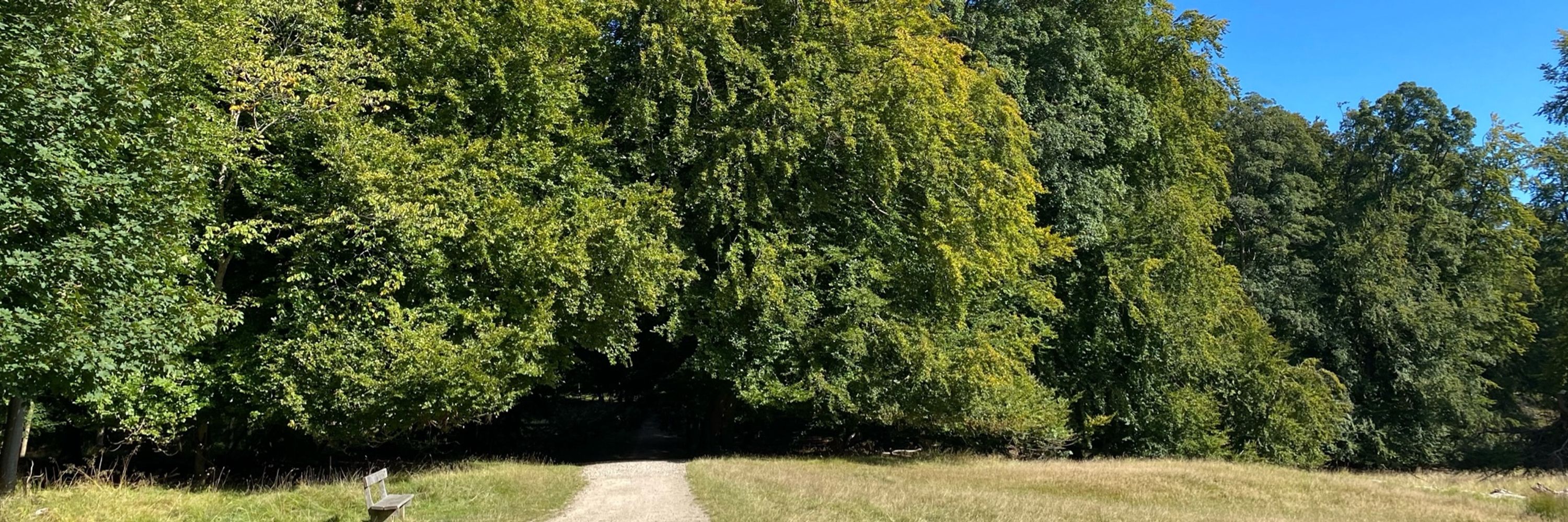 Kresten Bang Heinfelt