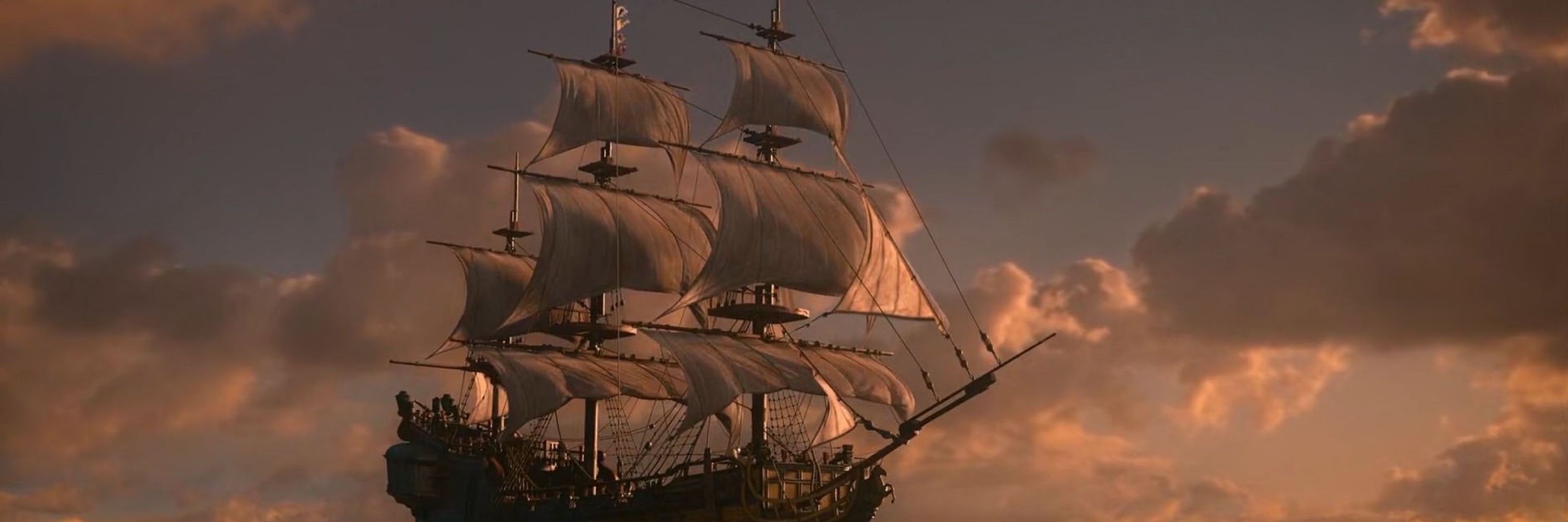 Liz 💜🏴‍☠️