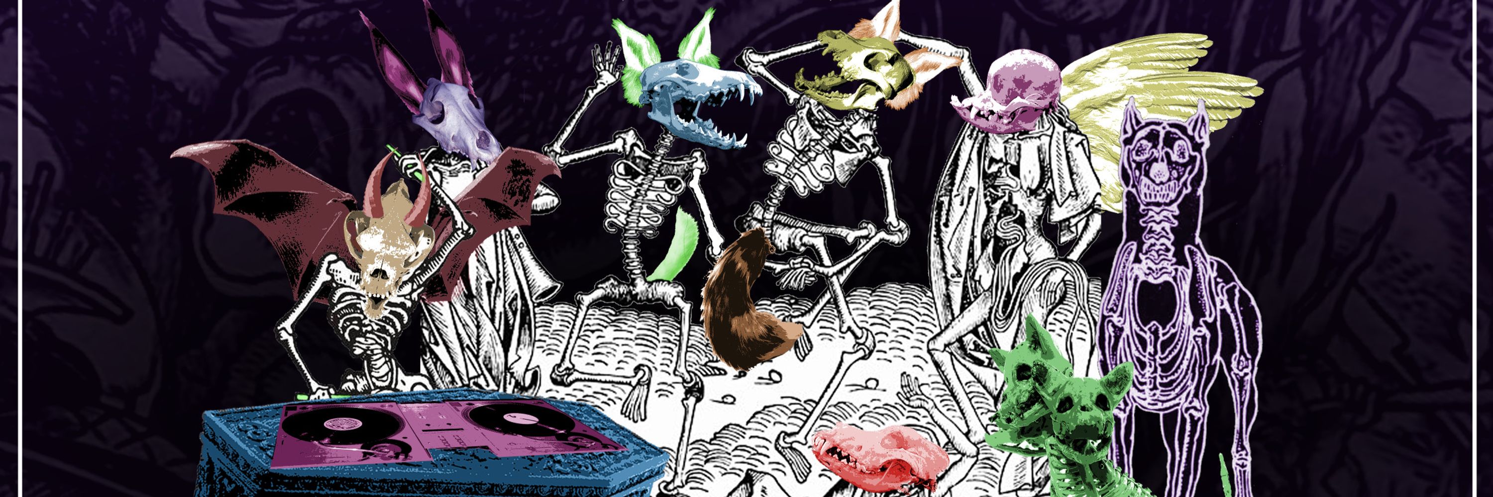 𝖉𝖏.𝖑𝖞𝖐𝖔𝖎