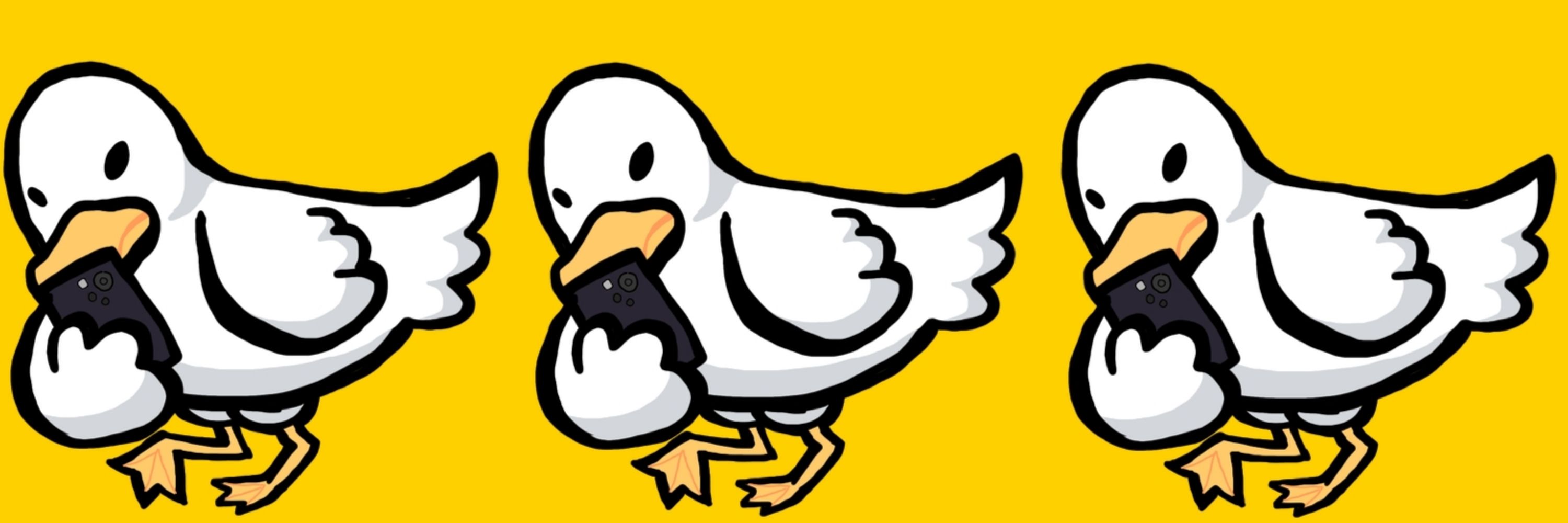 川のアヒル🏠️🦆