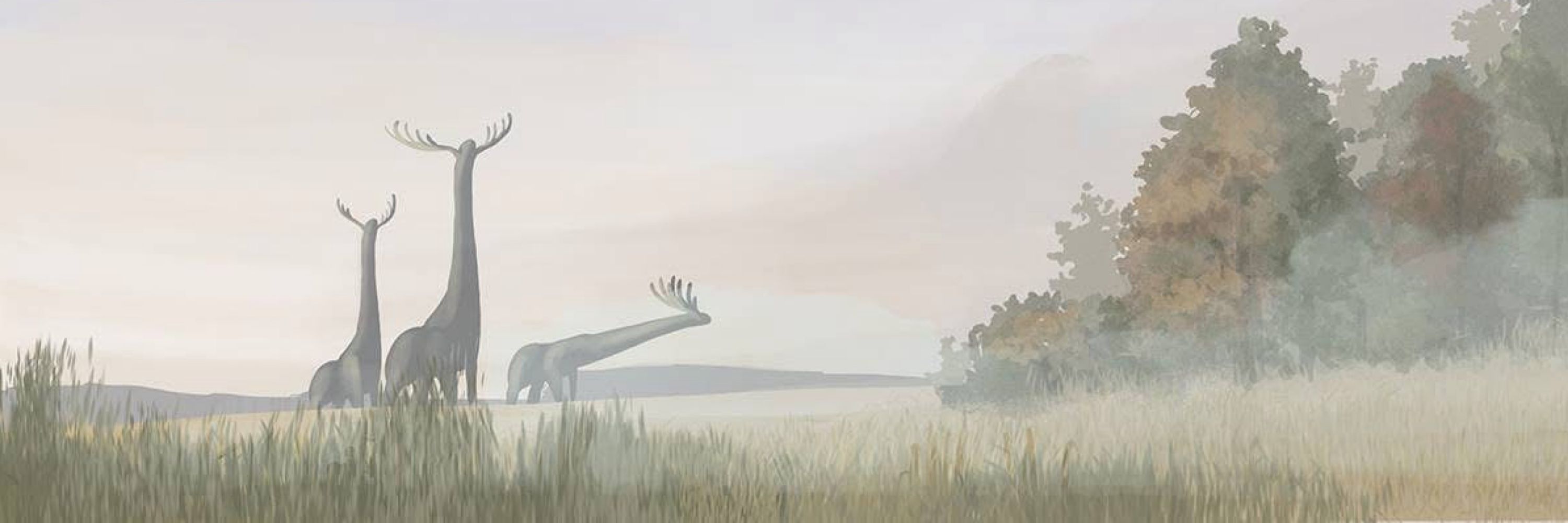 David Whales