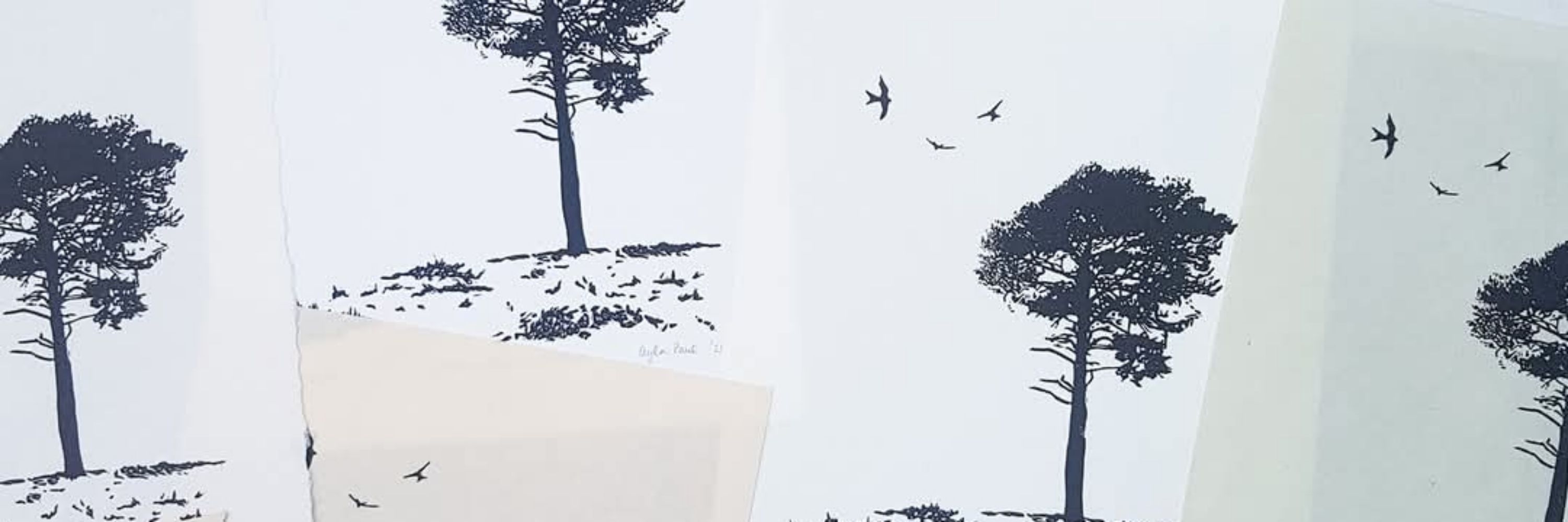 Ayla Paul - Printmaker