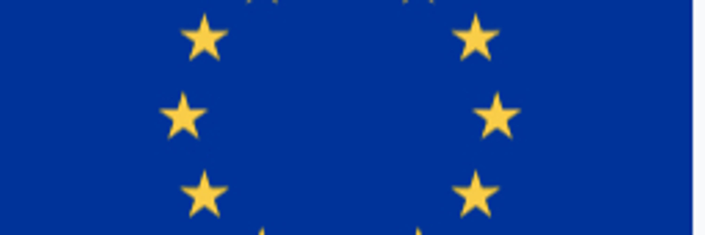 Roman Vehovec
