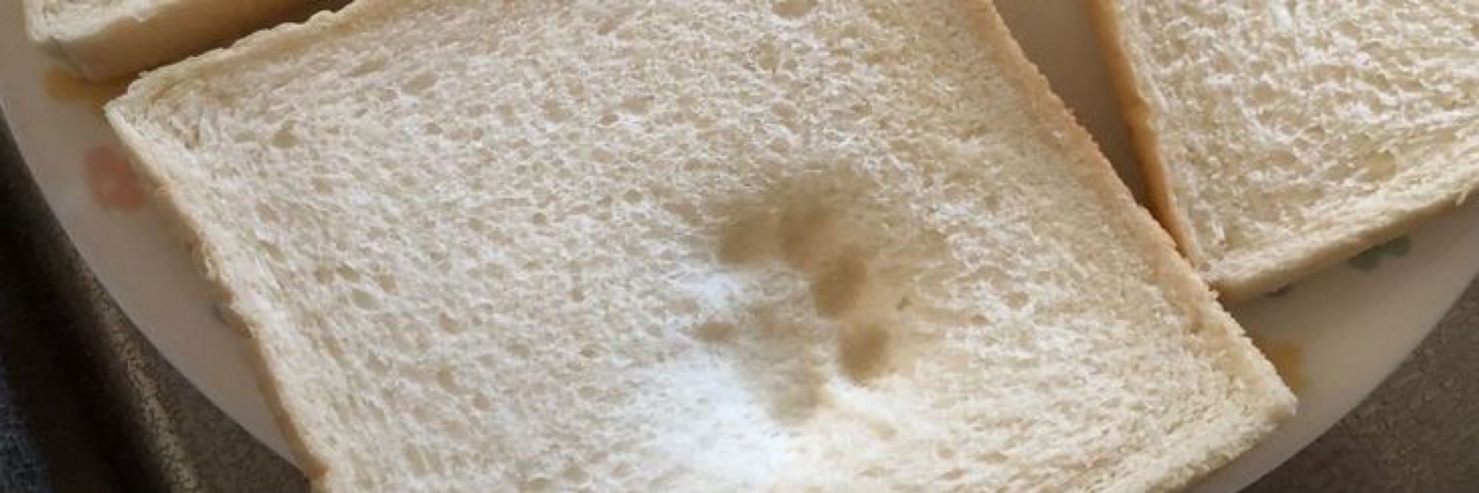 Bibia pãozinho 🍞