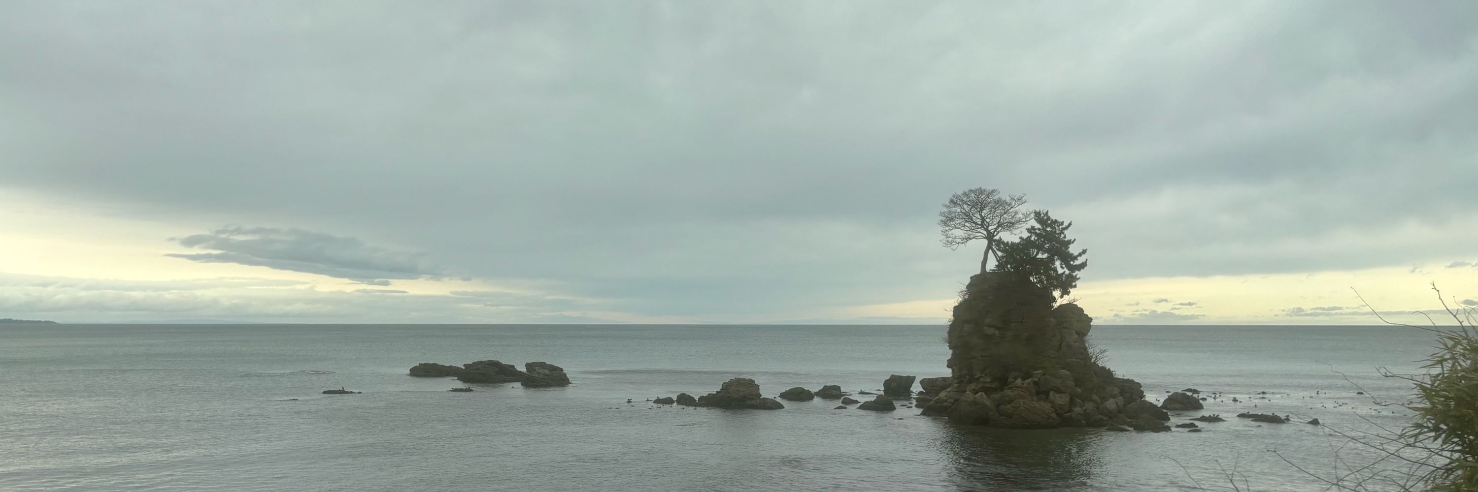 片岡昴