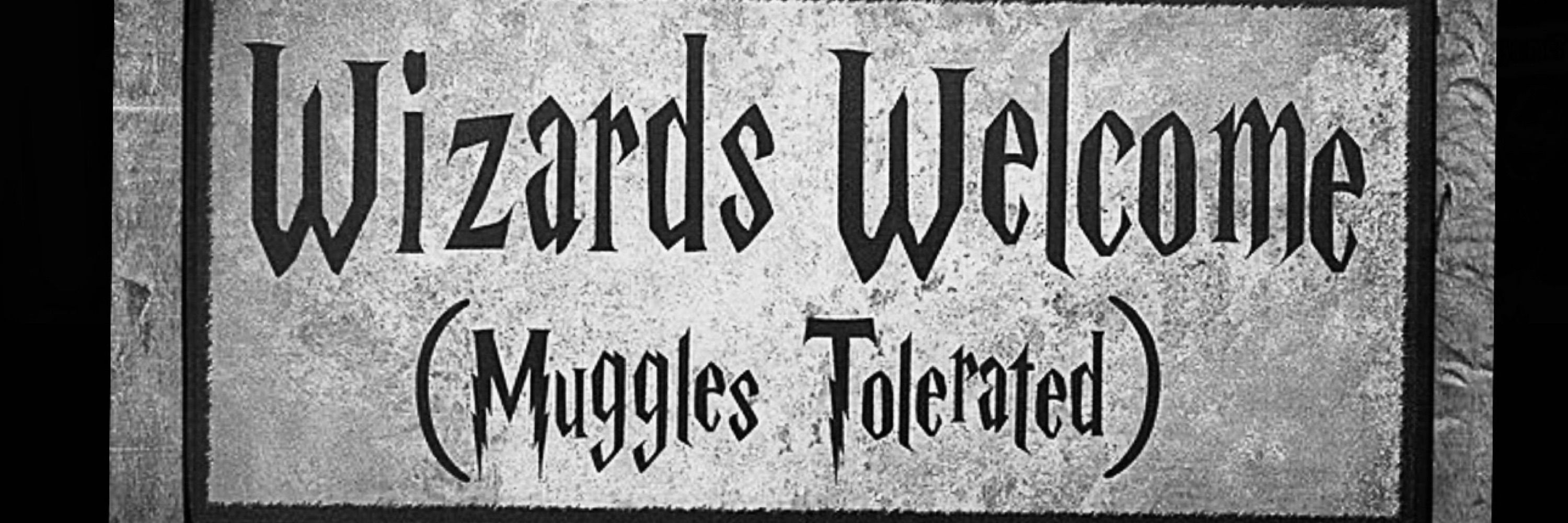 Wizarding World