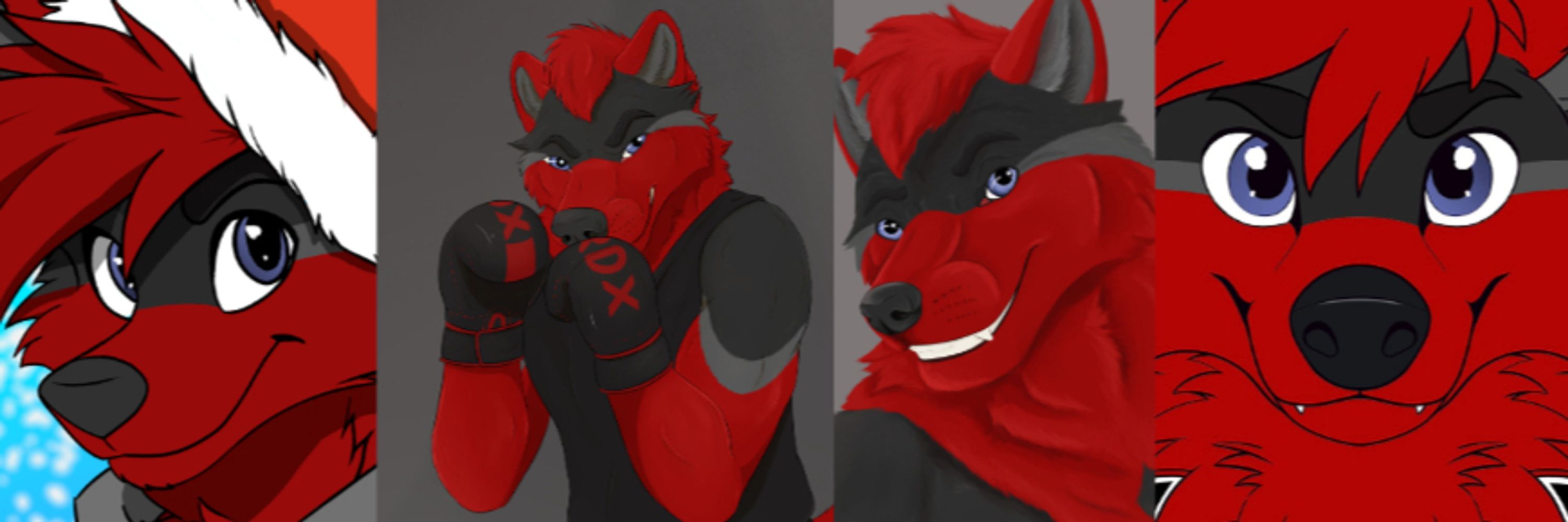 Shadow 🏳️‍🌈🐺🥊