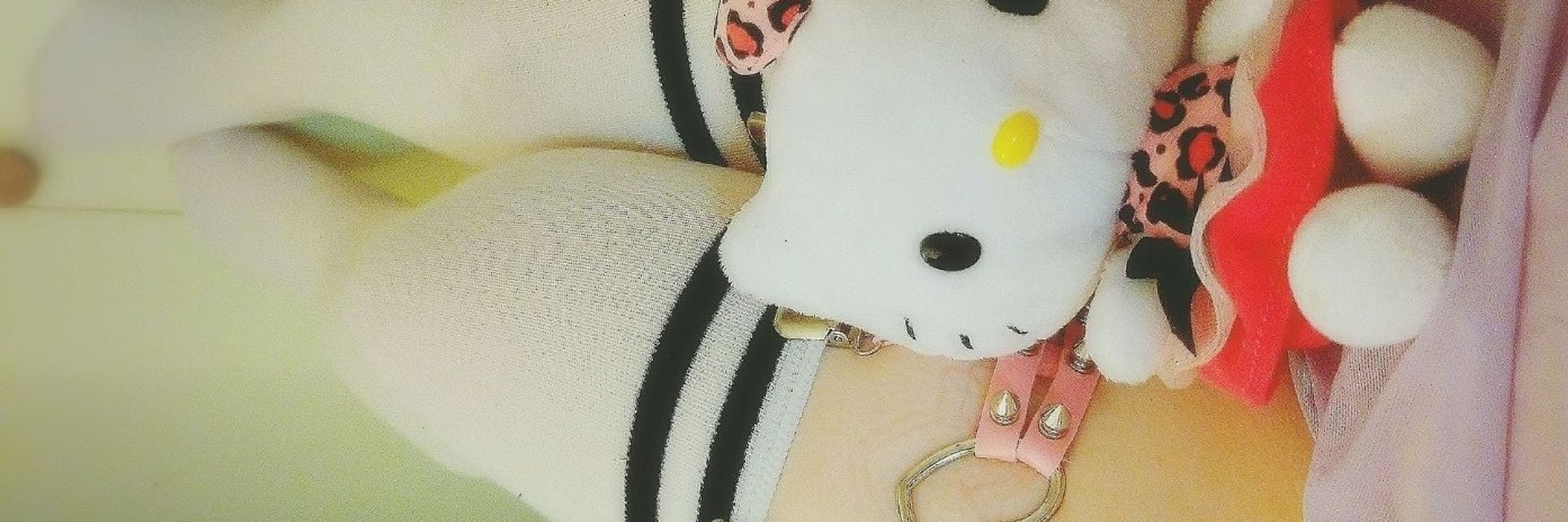 Pixiekitty  =^..^=