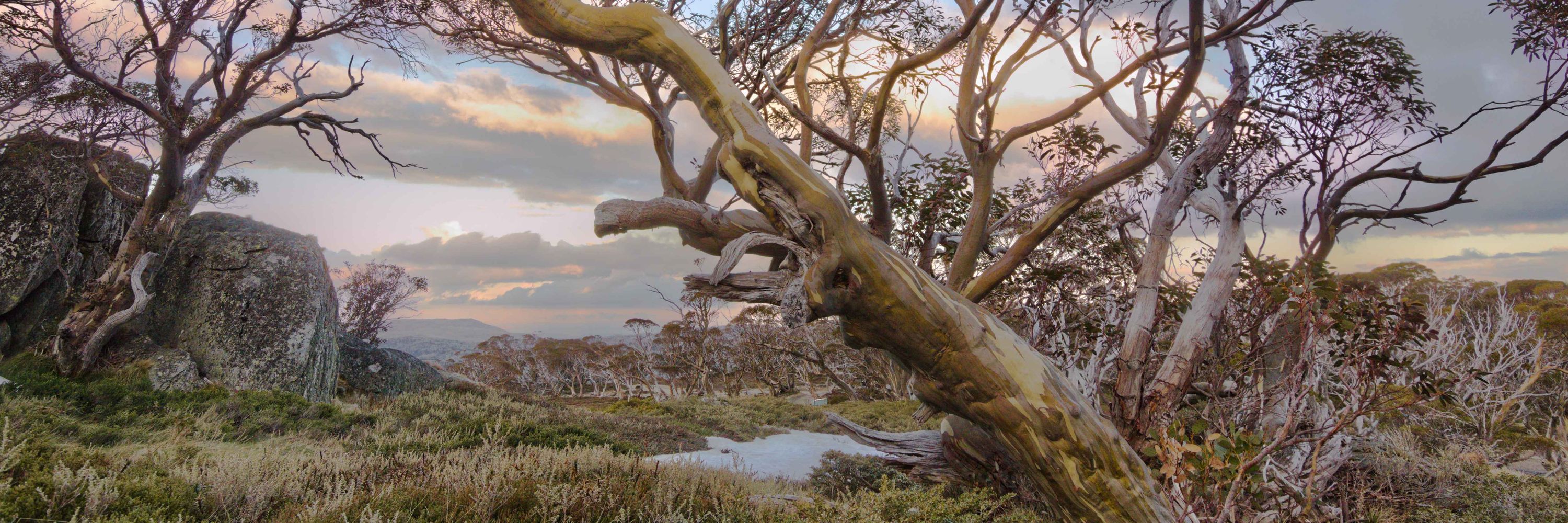 Andrew Pope