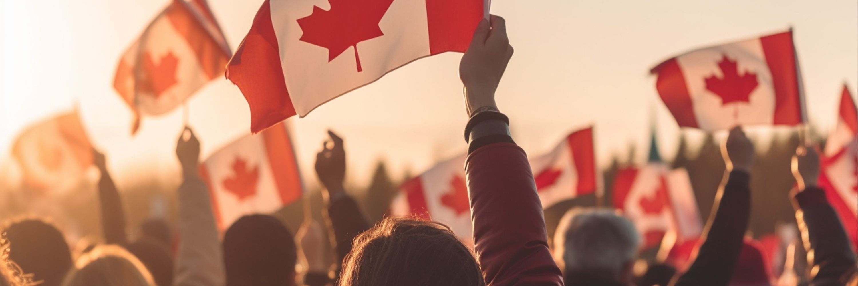 GIS víkingur 🇨🇦🏳️‍⚧️🇮🇸🏳️‍🌈