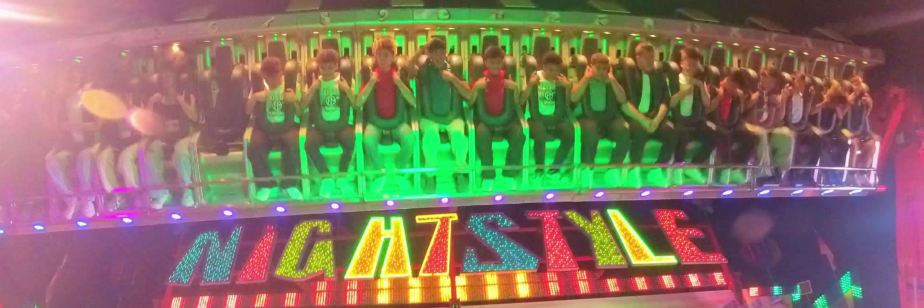 Fox on a Rollercoaster
