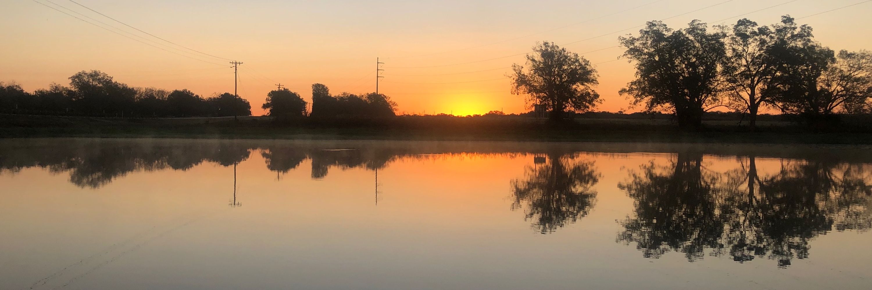 Tx Tgirl Fishing