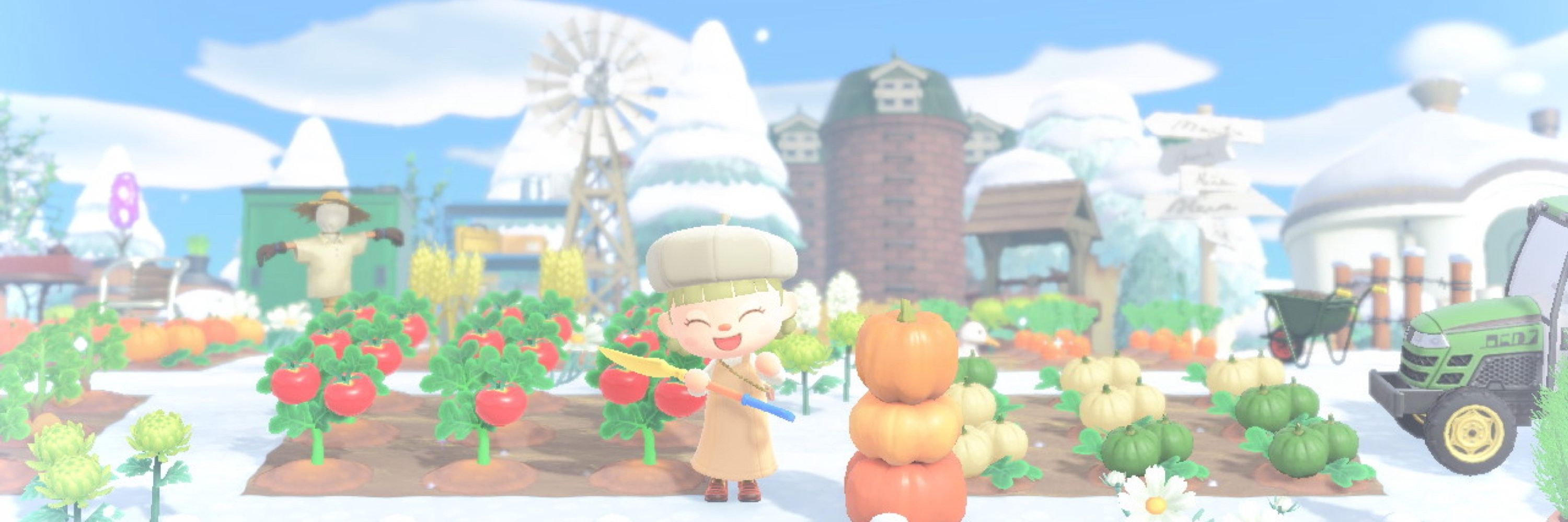 R .*｡ ﾟ