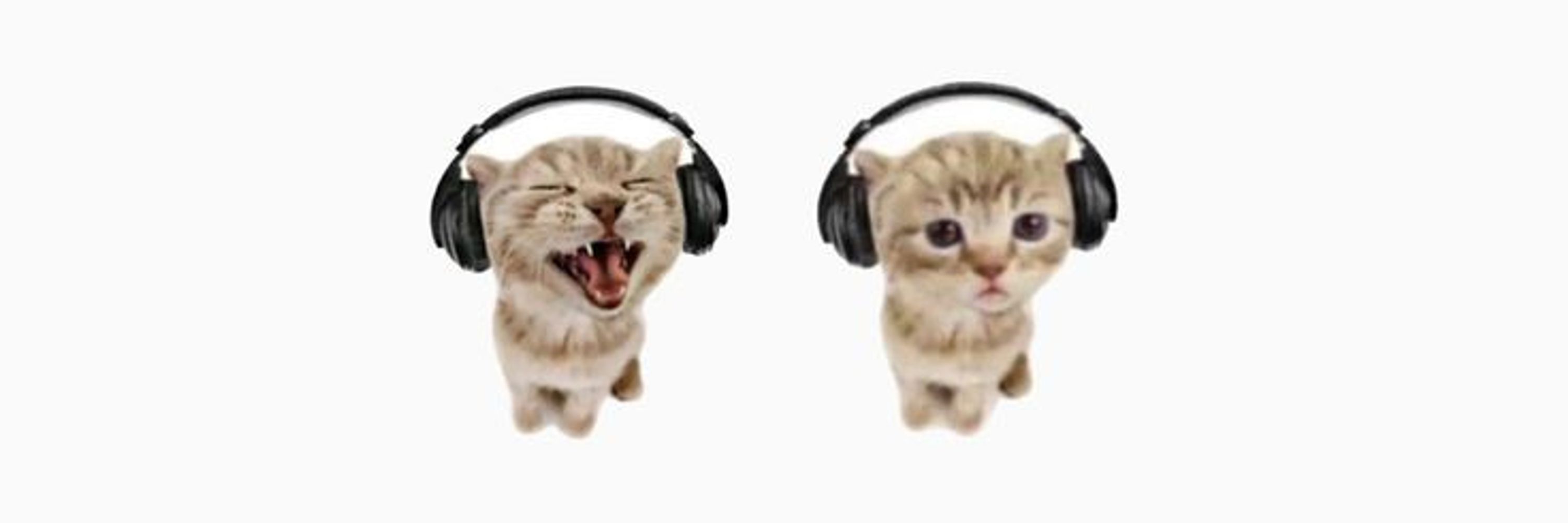 𝓖ab⁠   ˖⊹ฺ